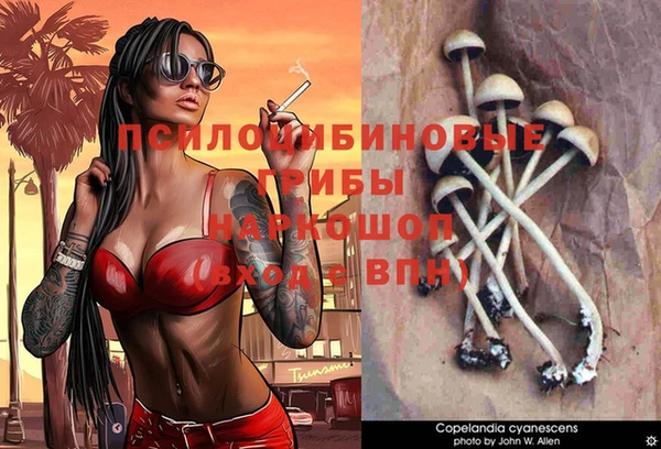 гидра Бердск