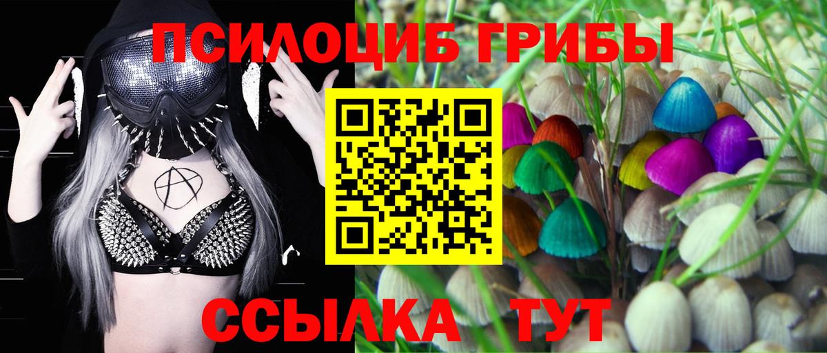 Галлюциногенные грибы MAGIC MUSHROOMS Керчь